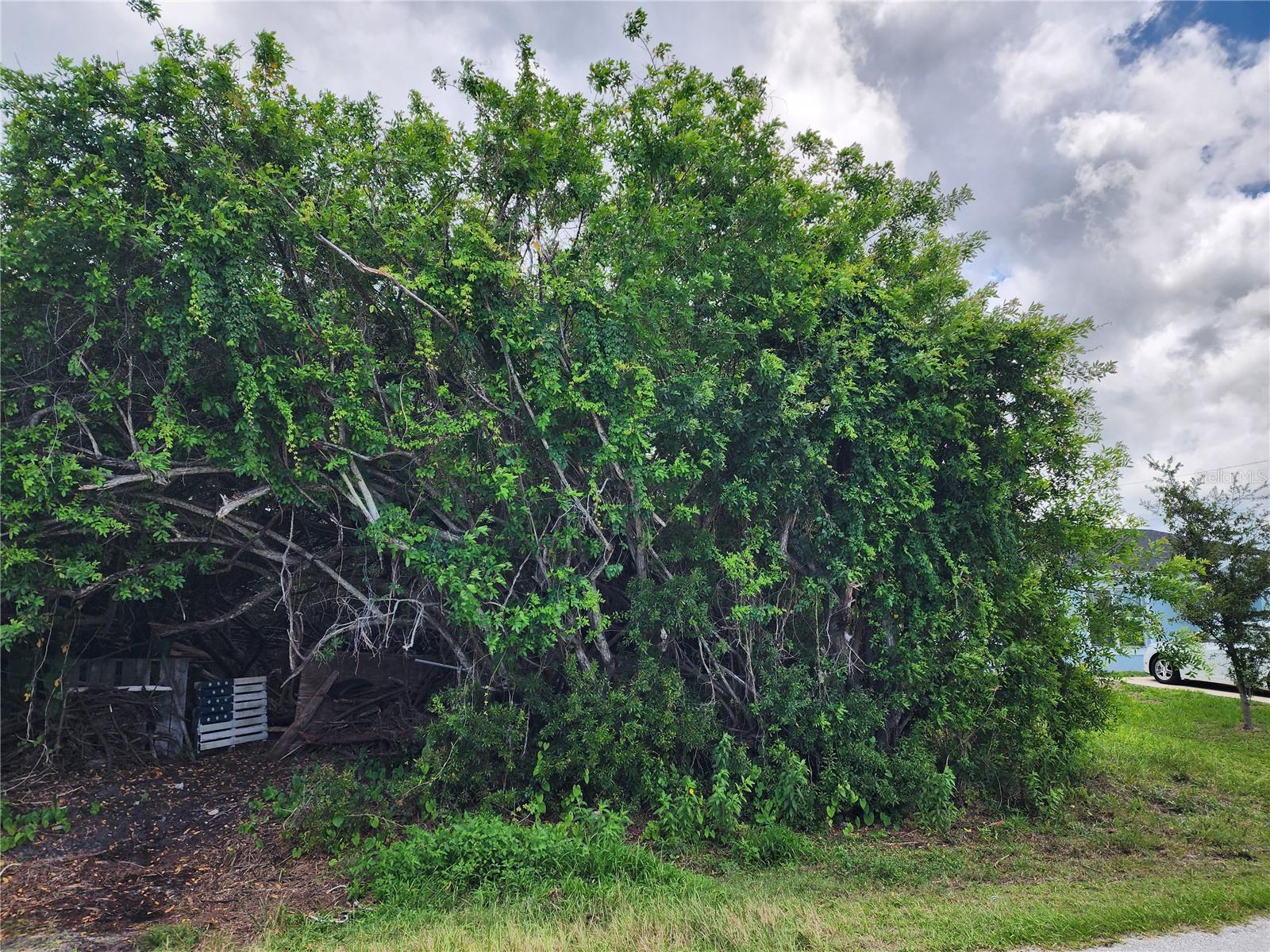 PORT CHARLOTTE SEC 063 - Land