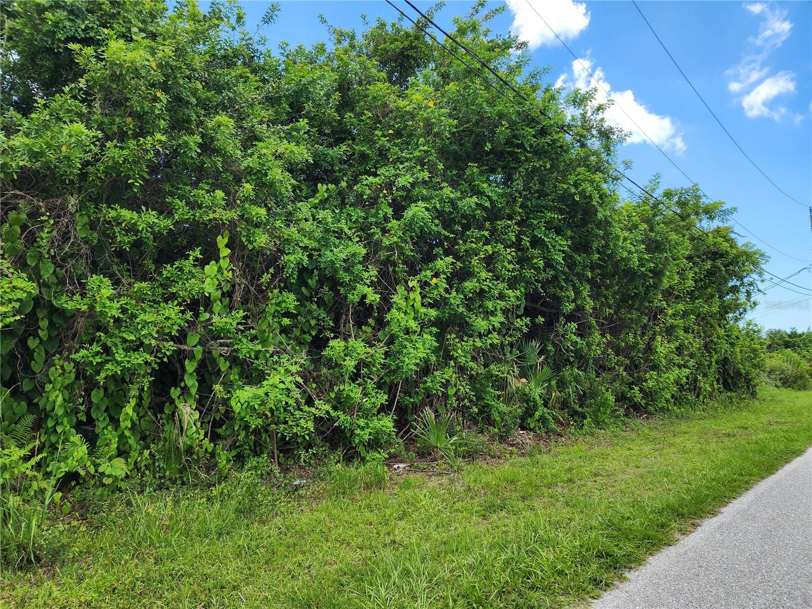 PORT CHARLOTTE SEC 063 - Land