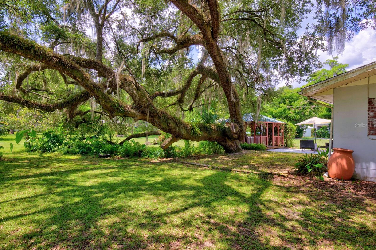 HILLSDALE - Residential