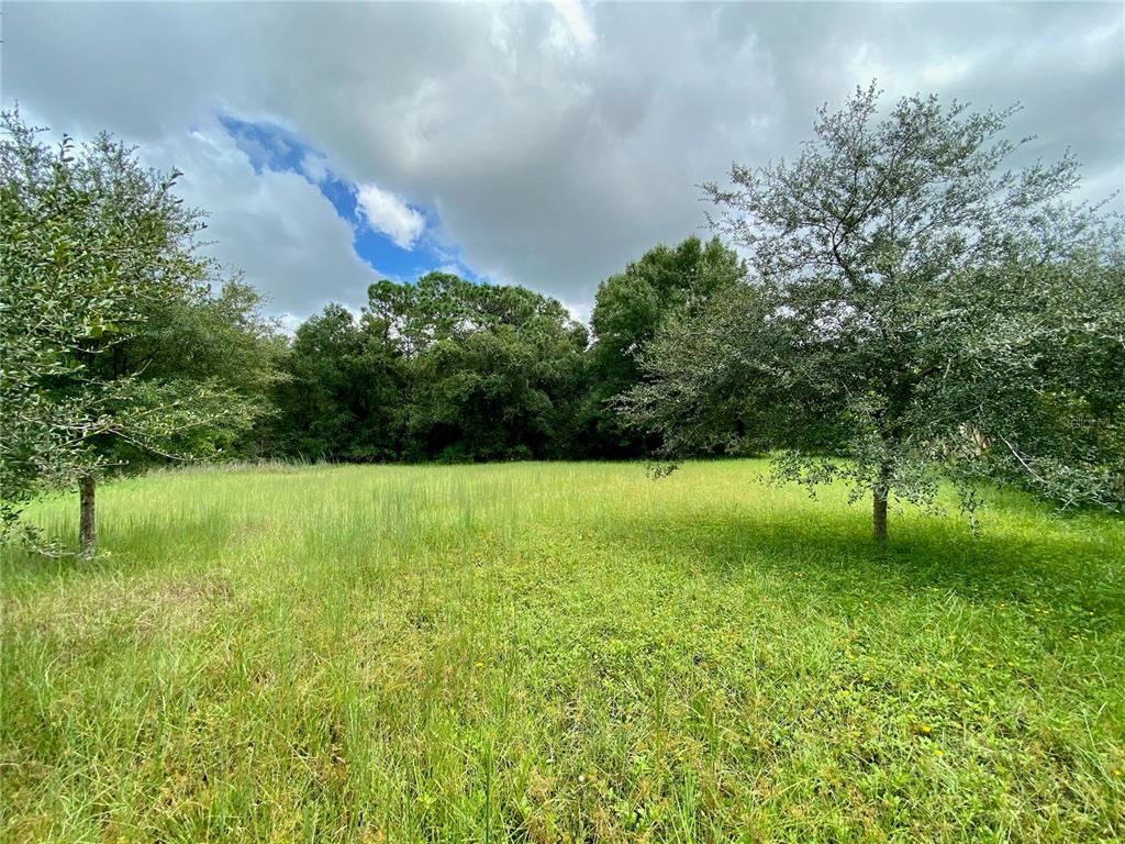 AMAZING BUILDING OPPORTUNITY! End lot, over 2.75 acres in the small gated community of Keystone Palms. Located in the cul de sac and abutting an existing concrete wall for even more privacy! Only 9 lots in the entire subdivision. Enjoy the best of both worlds by settling in to the peaceful, serene atmosphere of the Keystone area while still being an easy drive to shopping, restaurants, beaches, and the infamous Sponge Docks! Building and pet restrictions apply. See Keystone Palms Covenants, Conditions, and Restrictions for details.