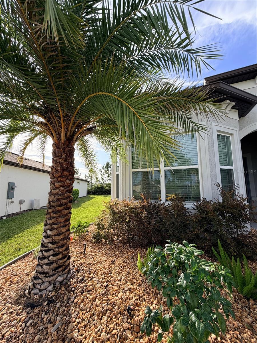 STONE CRK BY DEL WEBB BRIDLEWO - Residential