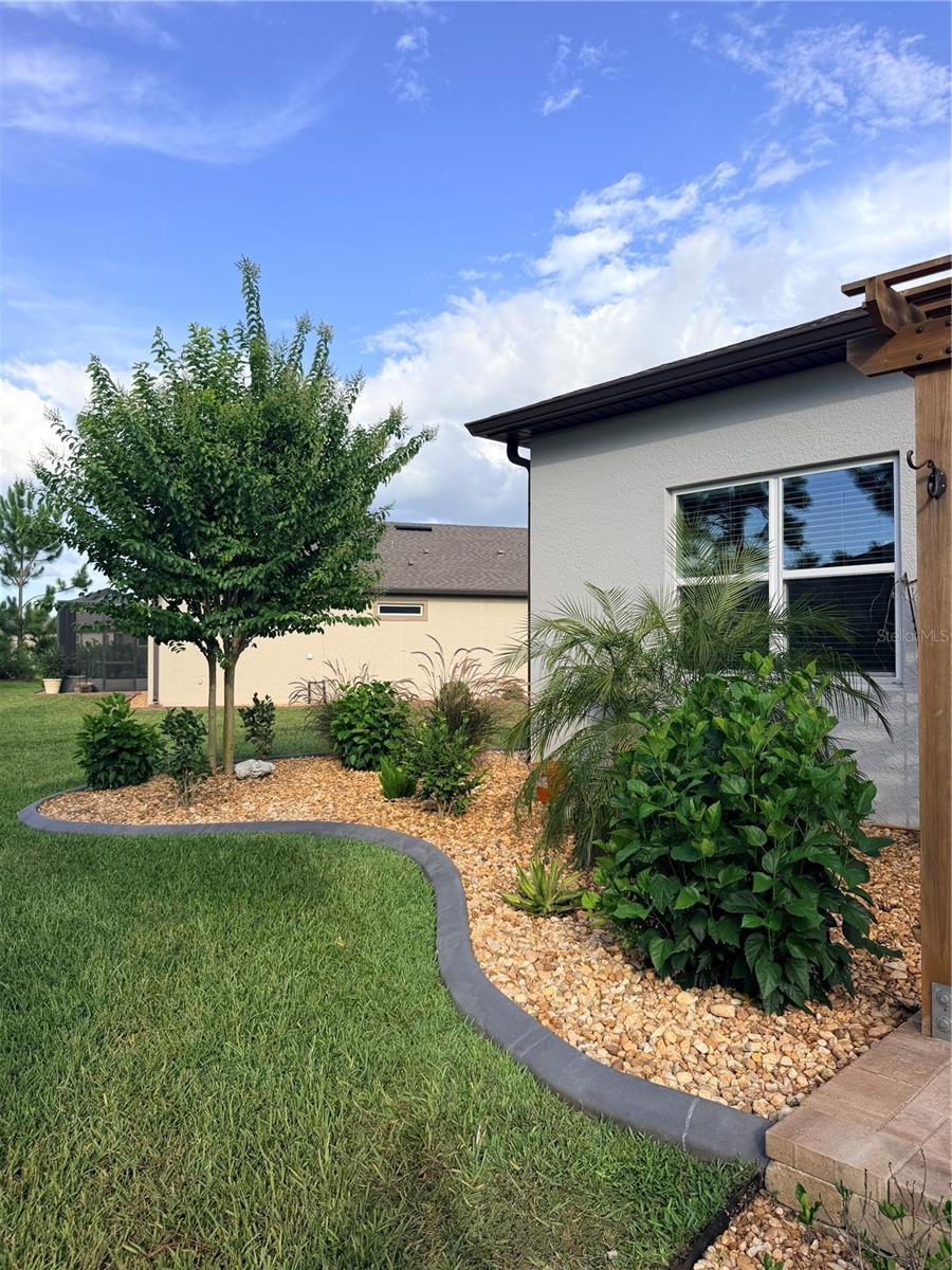 STONE CRK BY DEL WEBB BRIDLEWO - Residential