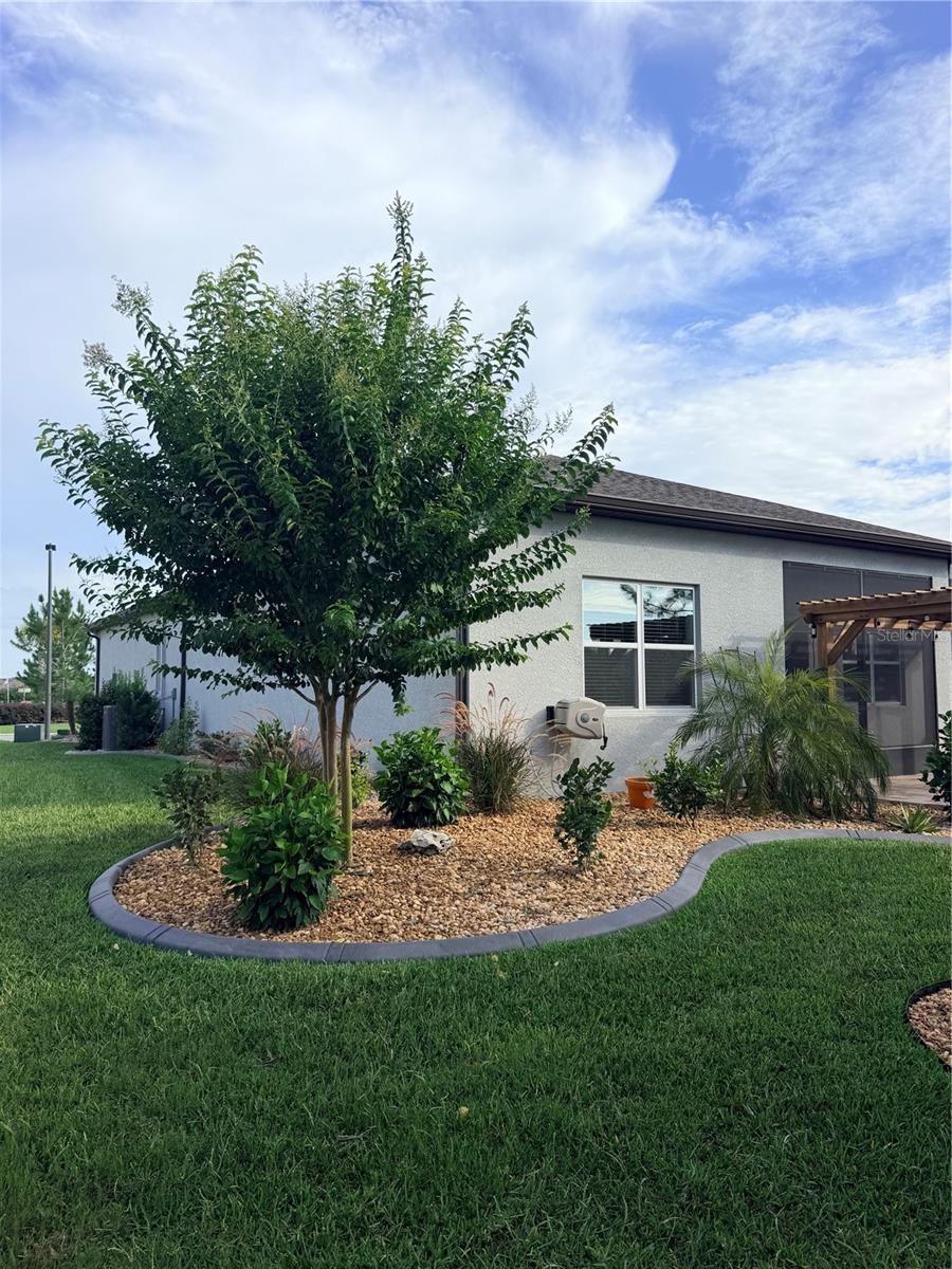STONE CRK BY DEL WEBB BRIDLEWO - Residential