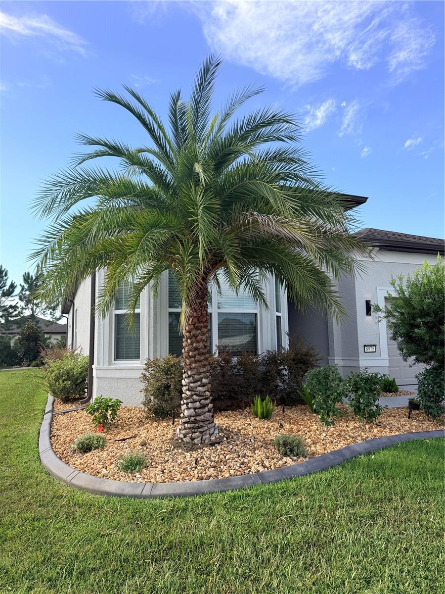 STONE CRK BY DEL WEBB BRIDLEWO - Residential