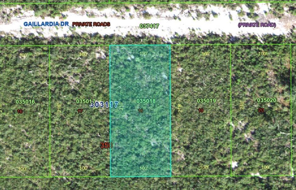 An exceptional opportunity awaits to own a premier piece of Florida land offering the perfect setting for your custom-built retreat. Surrounded by natural beauty and peaceful landscapes, this expansive homesite provides a rare canvas to bring your vision to life and create a private sanctuary tailored to your lifestyle.

Enjoy the freedom of designing a distinguished residence in a serene Central Florida setting, where privacy, nature, and outdoor recreation come together. Whether creating a luxurious seasonal escape, a full-time residence, or a strategic investment, this property offers endless possibilities for those seeking a refined Florida lifestyle.

Experience the opportunity to build the home you’ve always envisioned in a tranquil environment where comfort, elegance, and natural surroundings meet.