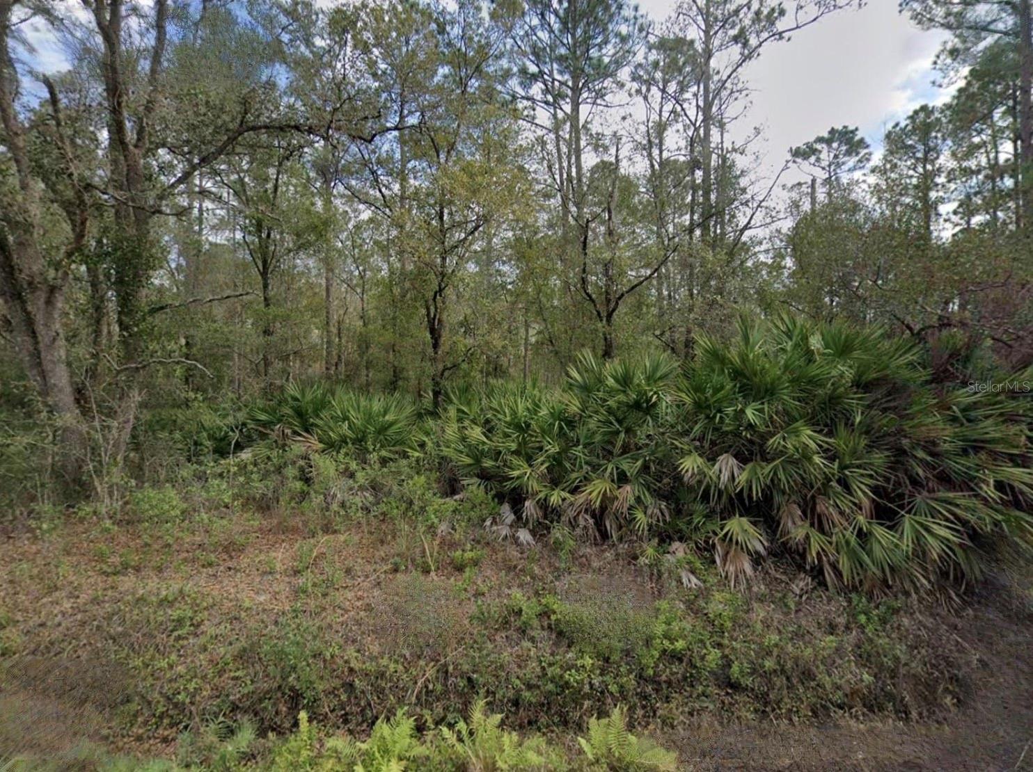 FLAGLER ESTATES - Land