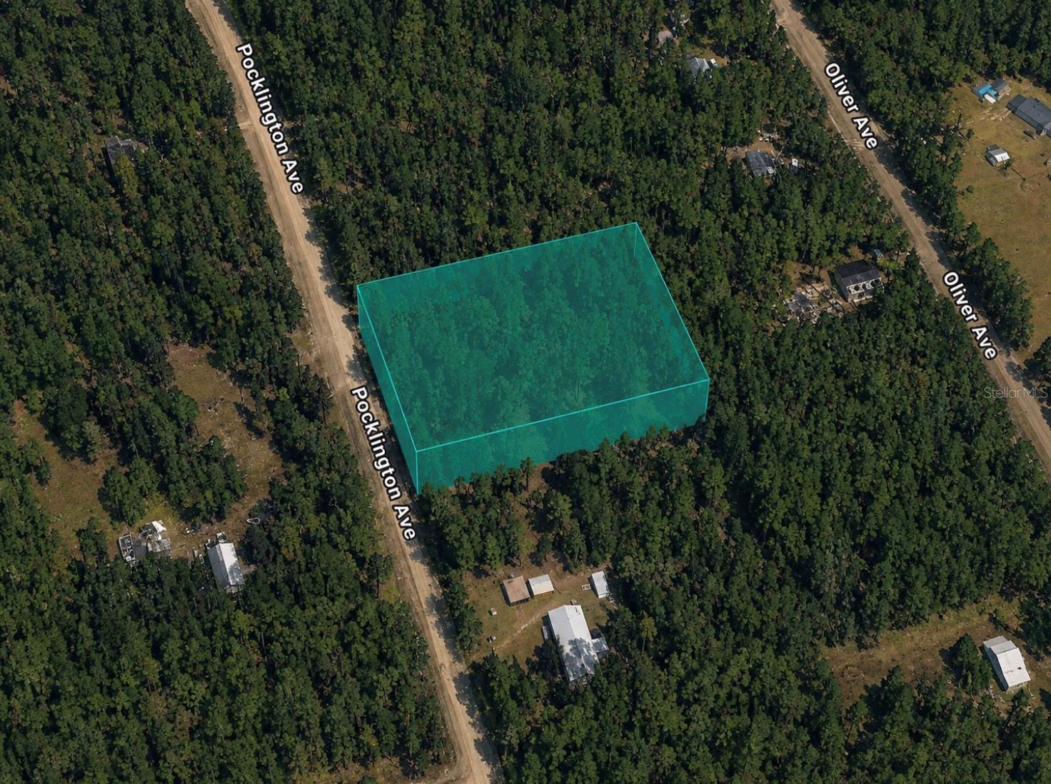 1.14 Acres in Hastings, FL! Spacious wooded residential lot offering approximately 299 feet of frontage and 166 feet of depth, providing plenty of room for your custom home, workshop, RV storage, or outdoor retreat. Located on Pocklington Avenue in a peaceful rural setting with convenient access to St. Augustine, Palatka, and surrounding areas. Enjoy privacy, natural beauty, and the flexibility to build now or invest for the future. Cash purchase only. Buyer to verify all zoning, utility availability, and building requirements. Buyer pays all closing costs.