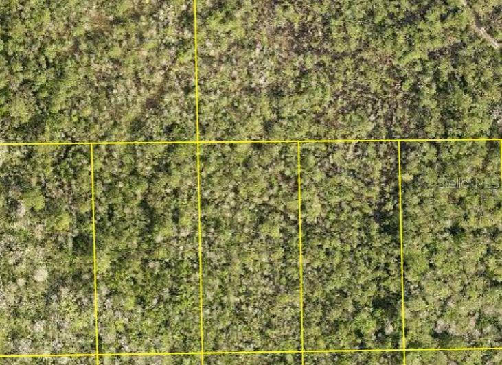 Discover the perfect opportunity to own 1.25 acres of vacant land in the peaceful and growing area of DeLand, FL. This unimproved parcel offers a blank canvas for your vision—whether you’re looking to build your dream home, invest for the future, or create a private retreat. This property provides a quiet, rural charm with plenty of space to design and develop. You’ll enjoy the flexibility to bring your ideas to life in a serene setting surrounded by nature. This property size and location makes it an ideal choice for homeowners and investors alike. Don’t miss your chance to secure a piece of land in a steadily developing area! Buyers are encouraged to consult environmental and building regulations to explore the full potential of this unique property.