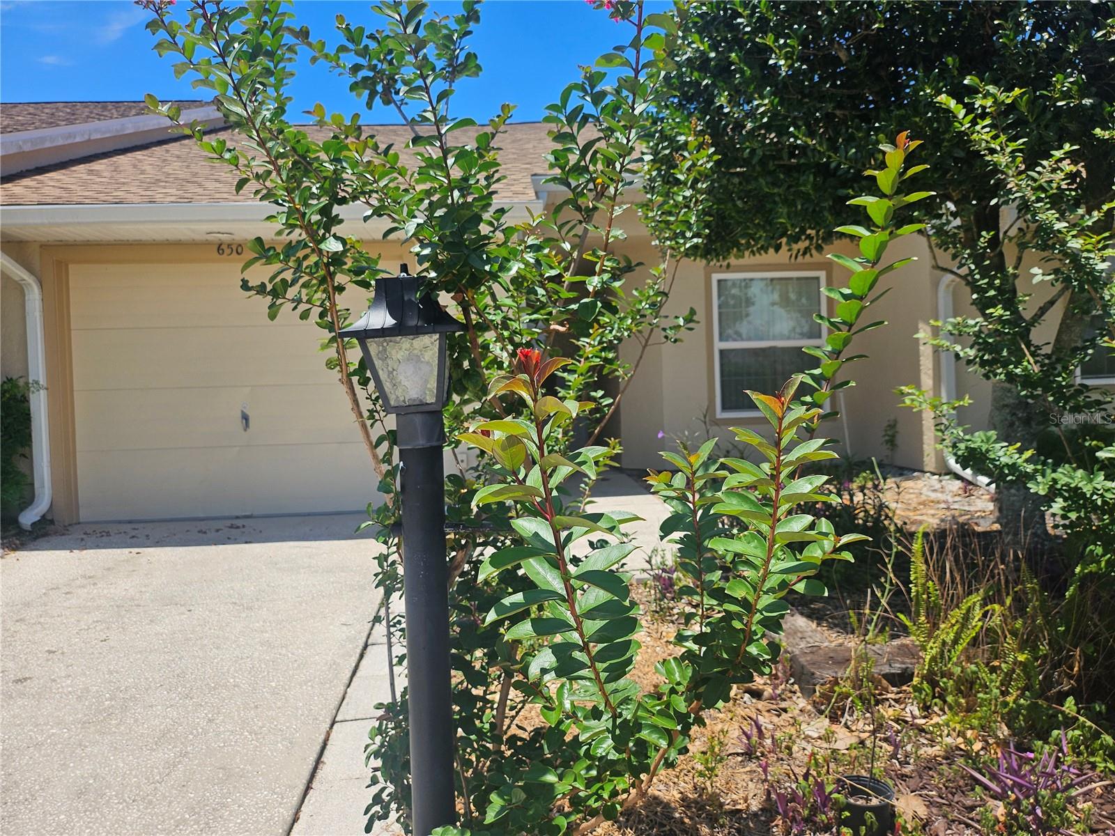 FOREST RIDGE VILLAGE - Residential
