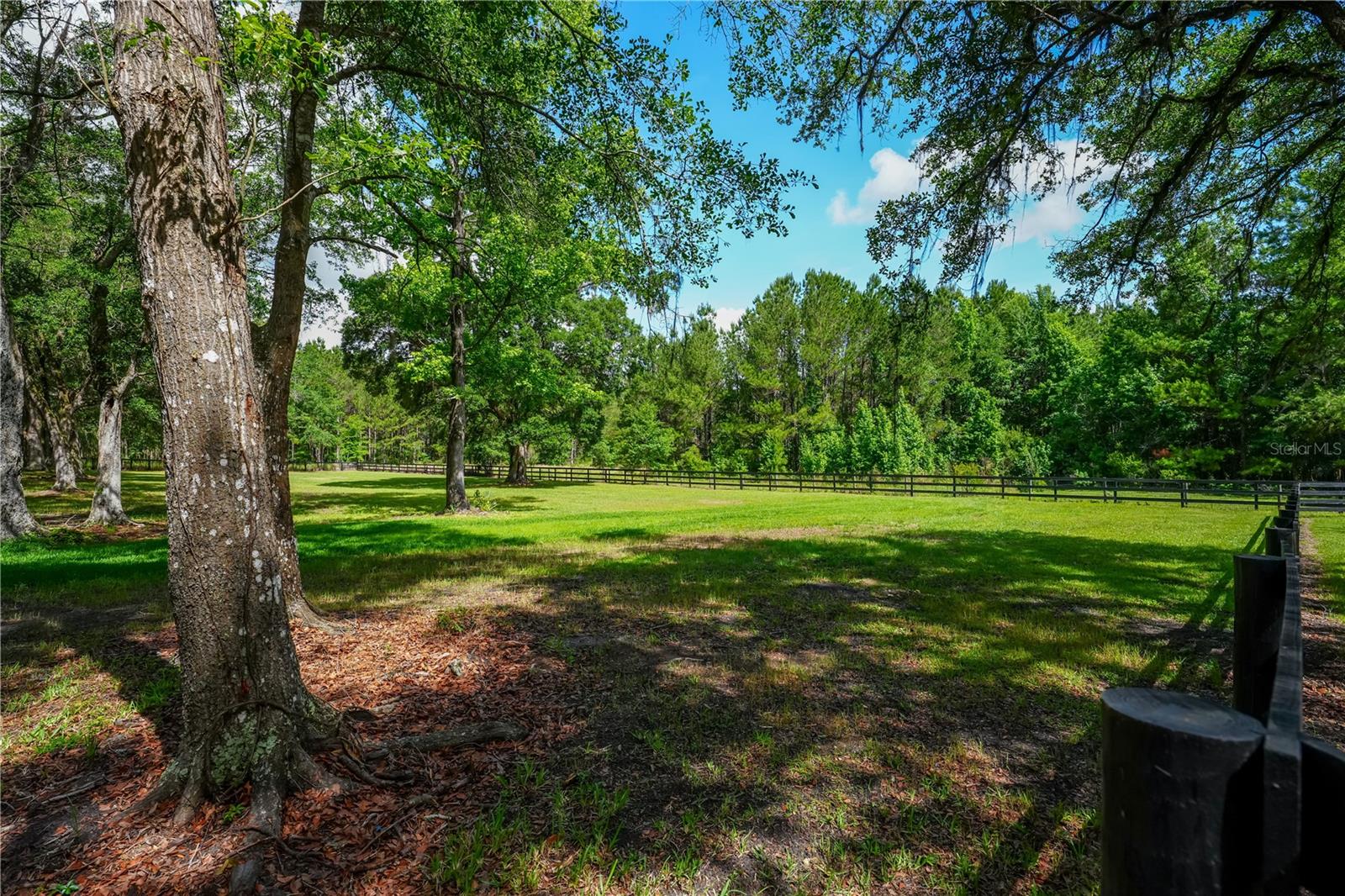 HWY 225 - Residential