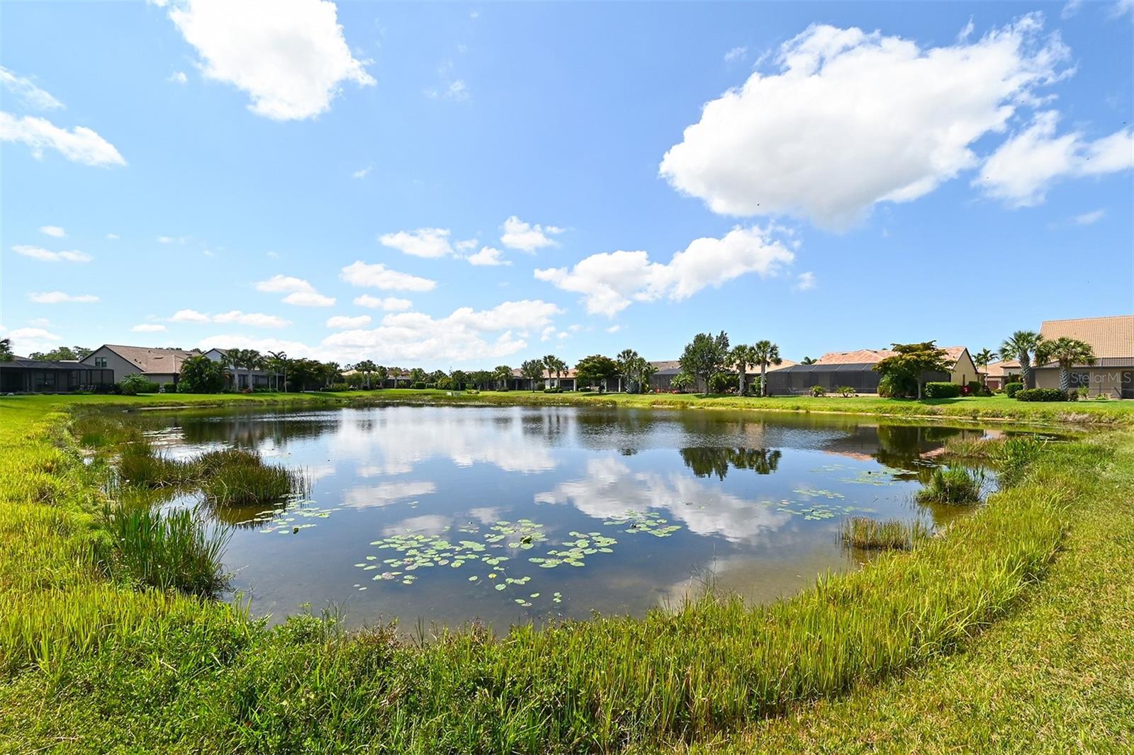 SANDHILL PRESERVE - Residential