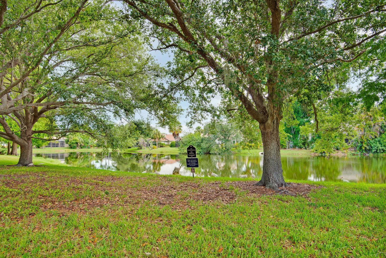 PALMER CLUB AT PRESTANCIA - Residential