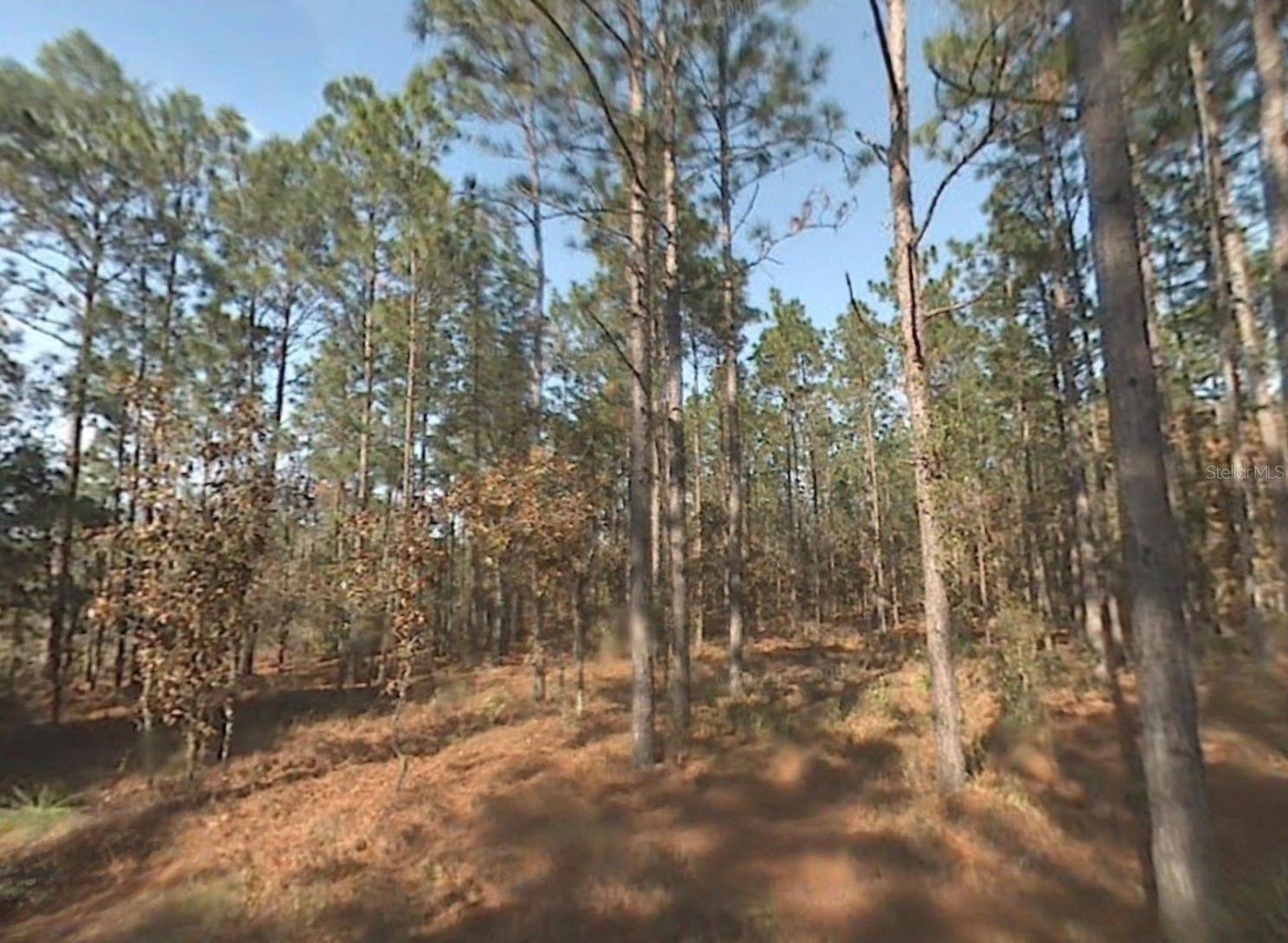 LAKE TROPICANA RANCHETTES 02 - Land