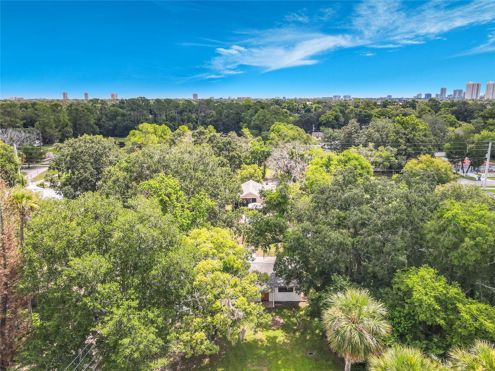 PALM GROVE - Residential