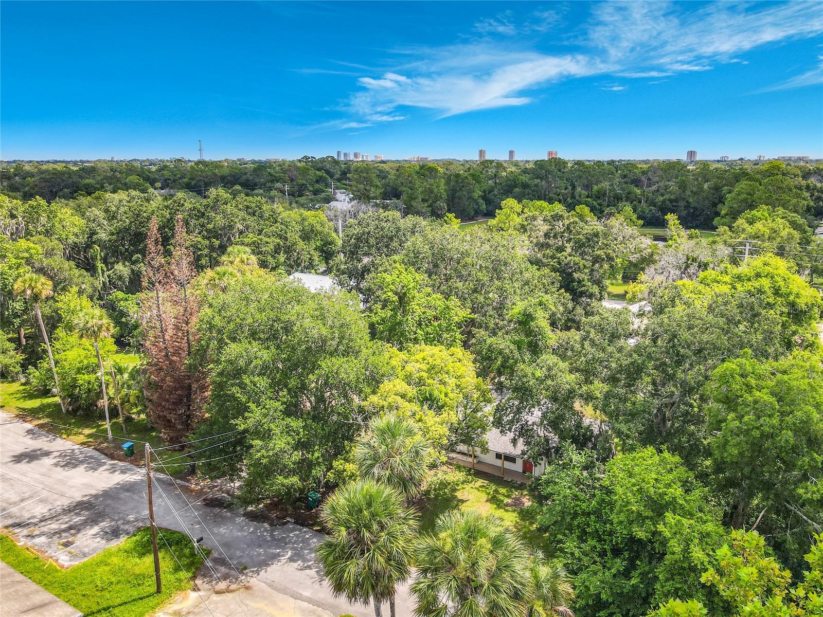 PALM GROVE - Residential