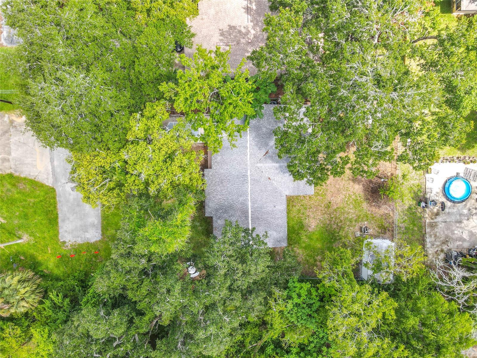 PALM GROVE - Residential