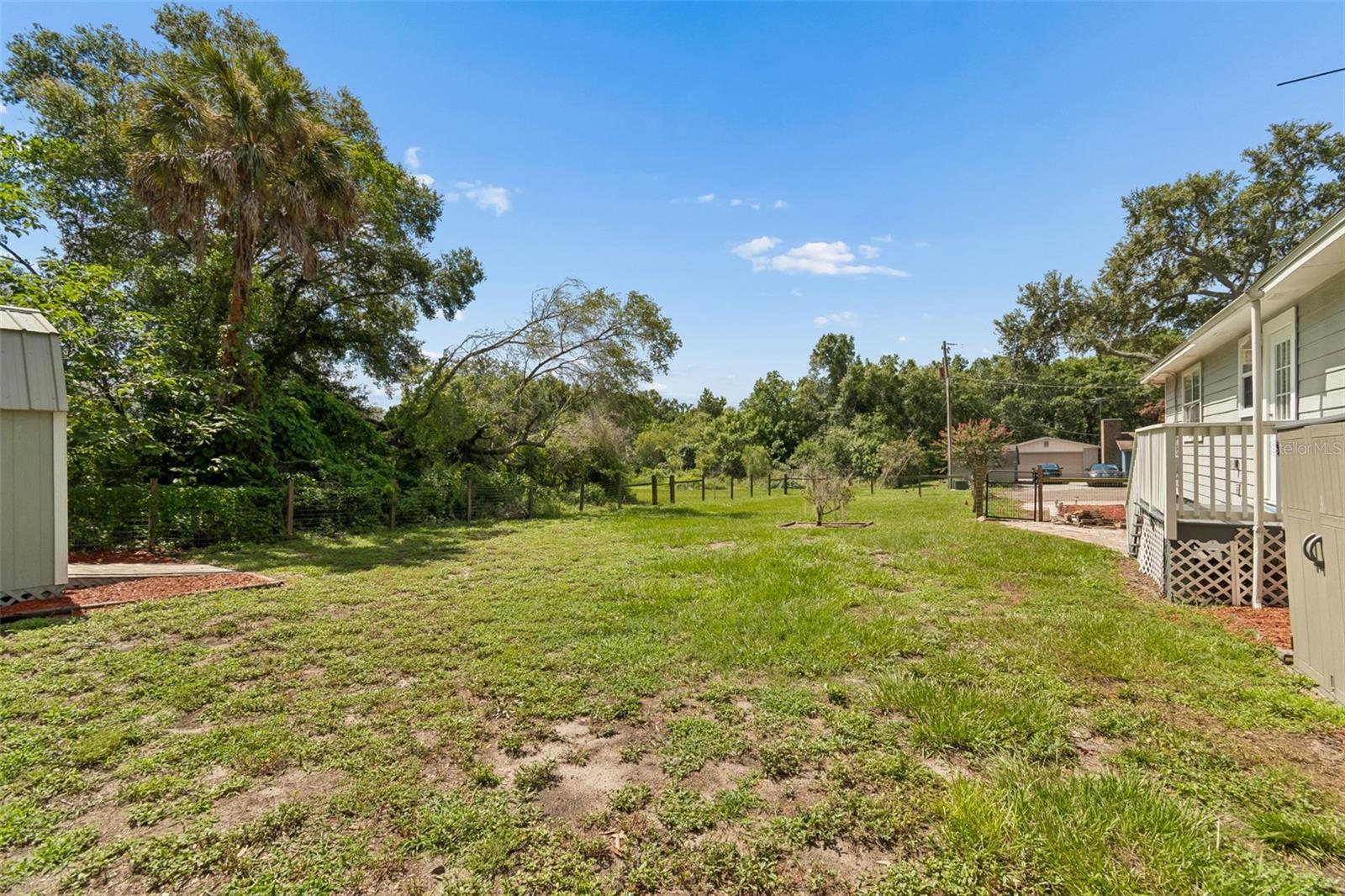 MANGO - Residential