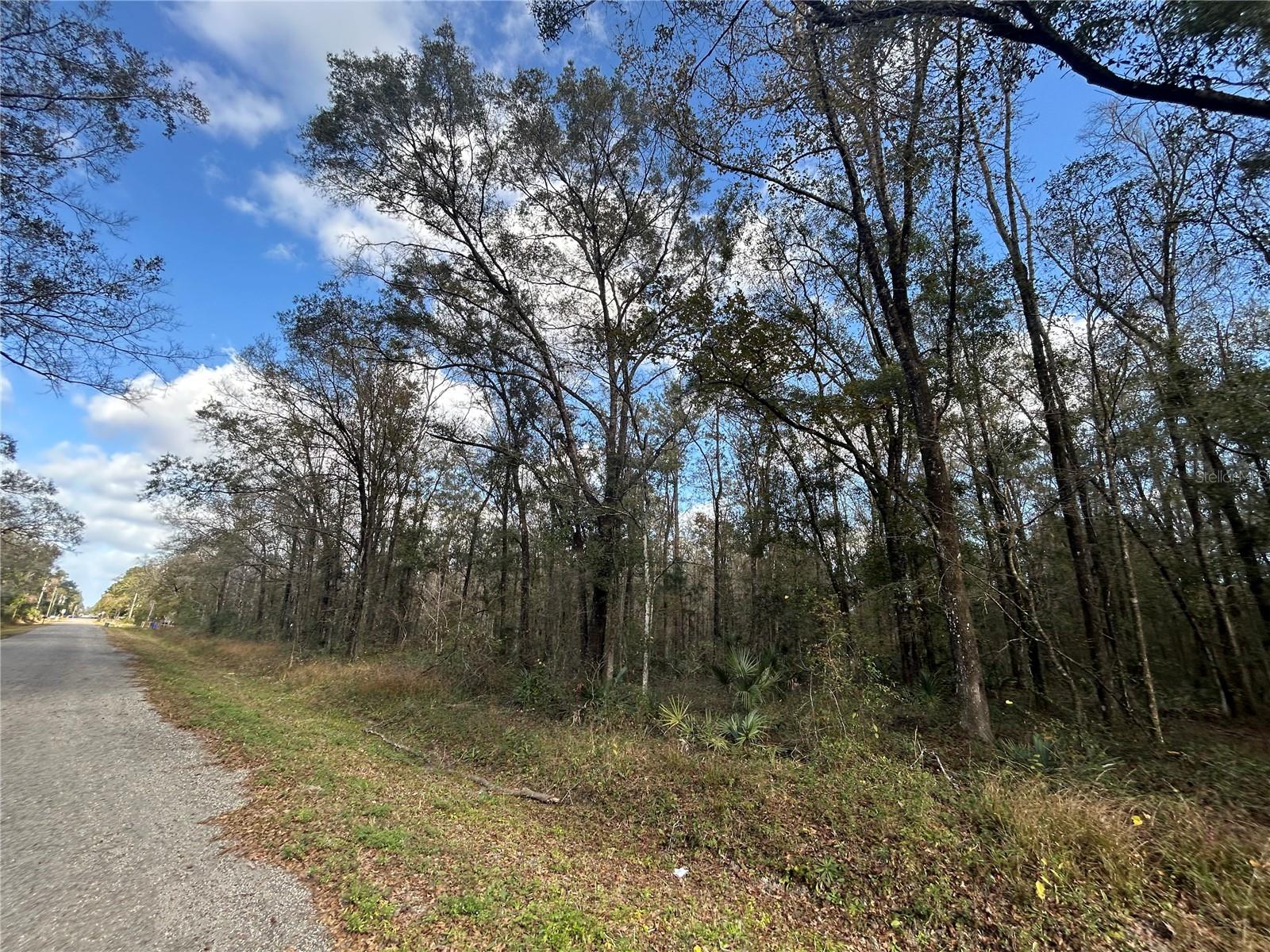 Build Your Florida Dream in Flagler Estates!
Welcome to Flagler Estates, a rapidly growing rural community in the heart of Northeast Florida—where wide-open spaces, starry nights, and freedom await. This beautiful lot offers the perfect opportunity to build your custom dream home just a short drive from historic St. Augustine and within 40 minutes of the stunning Atlantic beaches.
Centrally located between Jacksonville and Daytona Beach, and between St. Augustine and Palatka, this property delivers the ideal balance of peaceful country living with convenient access to major cities, dining, shopping, and entertainment. With no HOA, you’ll enjoy the freedom to live your way—bring your farm animals, plant gardens, park work trucks, or store your recreational toys with room to spare.
Outdoor enthusiasts will love the proximity to I-95, freshwater fishing, scenic trails, and nearby parks. Experience the tranquility of rural Florida living while still being close to everything that makes the area so desirable.
All inspections and improvements are the buyer’s responsibility, giving you complete control to design and customize your ideal homestead. Don’t miss this rare opportunity to own affordable acreage in a prime location near Florida’s coastline, historic charm, and growing cities—your slice of country paradise awaits!