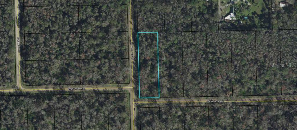 Own your own piece of paradise!!! Great location this lot is located on the paved road, minutes to Bull Creek and the Town of Bunnell, shopping and restaurants. This property is zoned for a manufactured home and will allow you to park your RV, Boat and work truck on it once a home is in place. Farm animals are welcome. All inspections and improvement to be the responsibility of the buyer.
