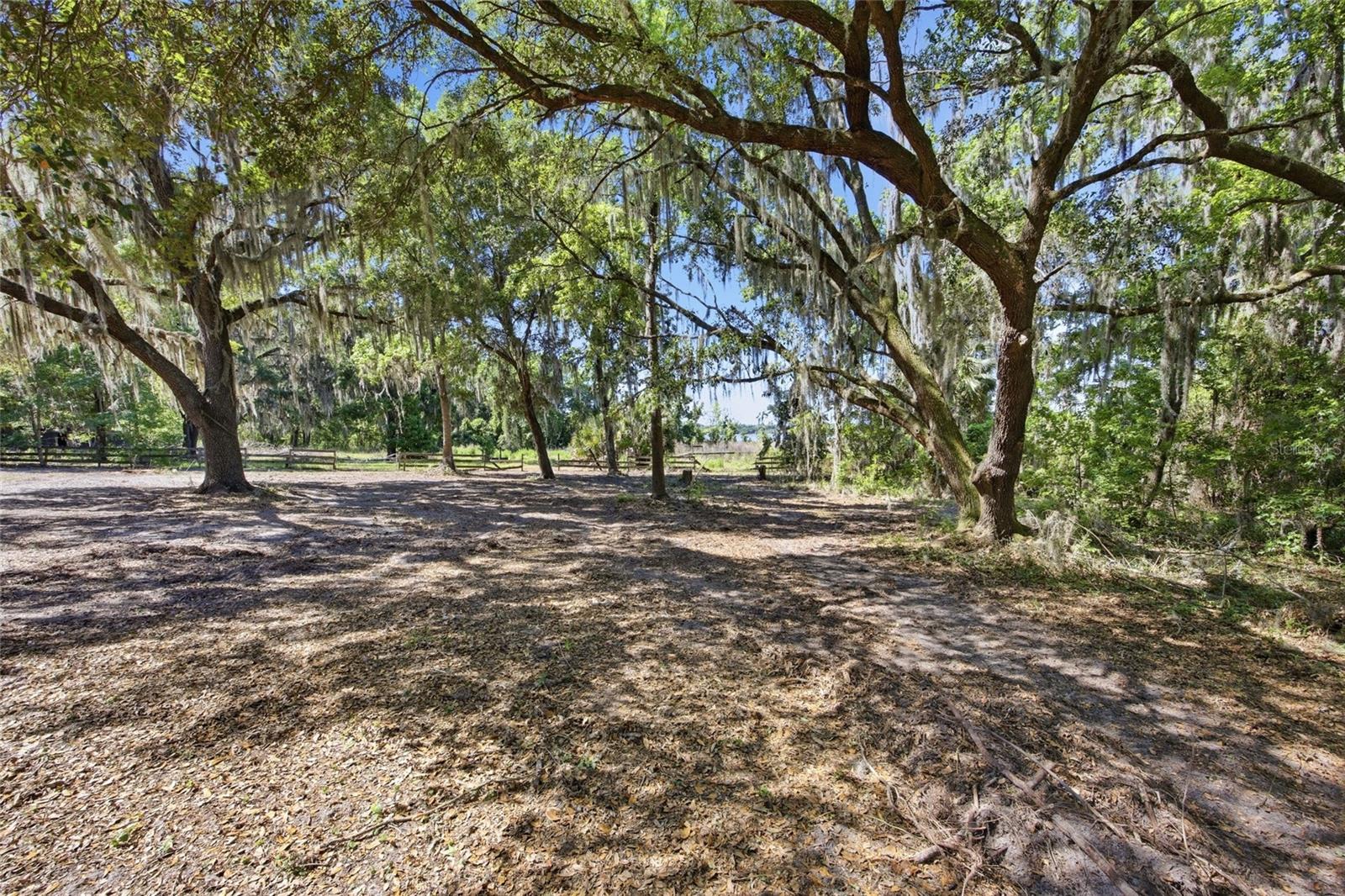 LAKE BRYANT ESTATE - Residential