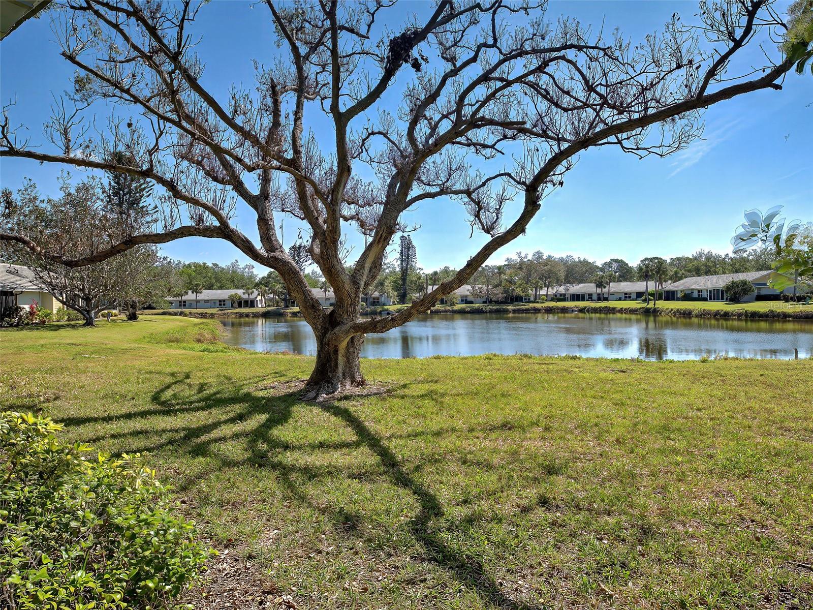 MYRTLE TRACE AT THE PLANTATION - Residential