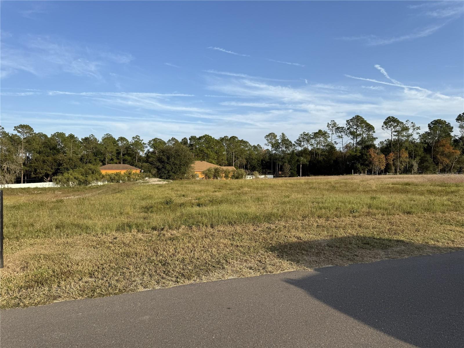 Dreaming of space and freedom? This 1.22 acre vacant lot in Dade City will make your dream into a reality. Whether you’re dreaming of a modern retreat, a cozy farmhouse, or a luxury estate, this property offers the freedom to bring your vision to life from the ground up.  As one of six exclusive homesites, this prime lot is ideally located just north of Tampa, providing quiet country living while keeping urban conveniences close by. A standout feature of this property is the option to build with Monarch Custom Homes, offering a seamless path from concept to construction. Take advantage of customizable floor plans, expert guidance, and a streamlined process designed to bring your dream home to life with quality craftsmanship and thoughtful design. Whether you're ready to break ground soon or exploring possibilities, this homesite delivers the perfect foundation for your future.