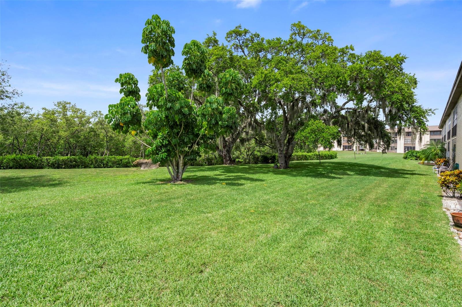 GULF HARBORS CONDO - Residential