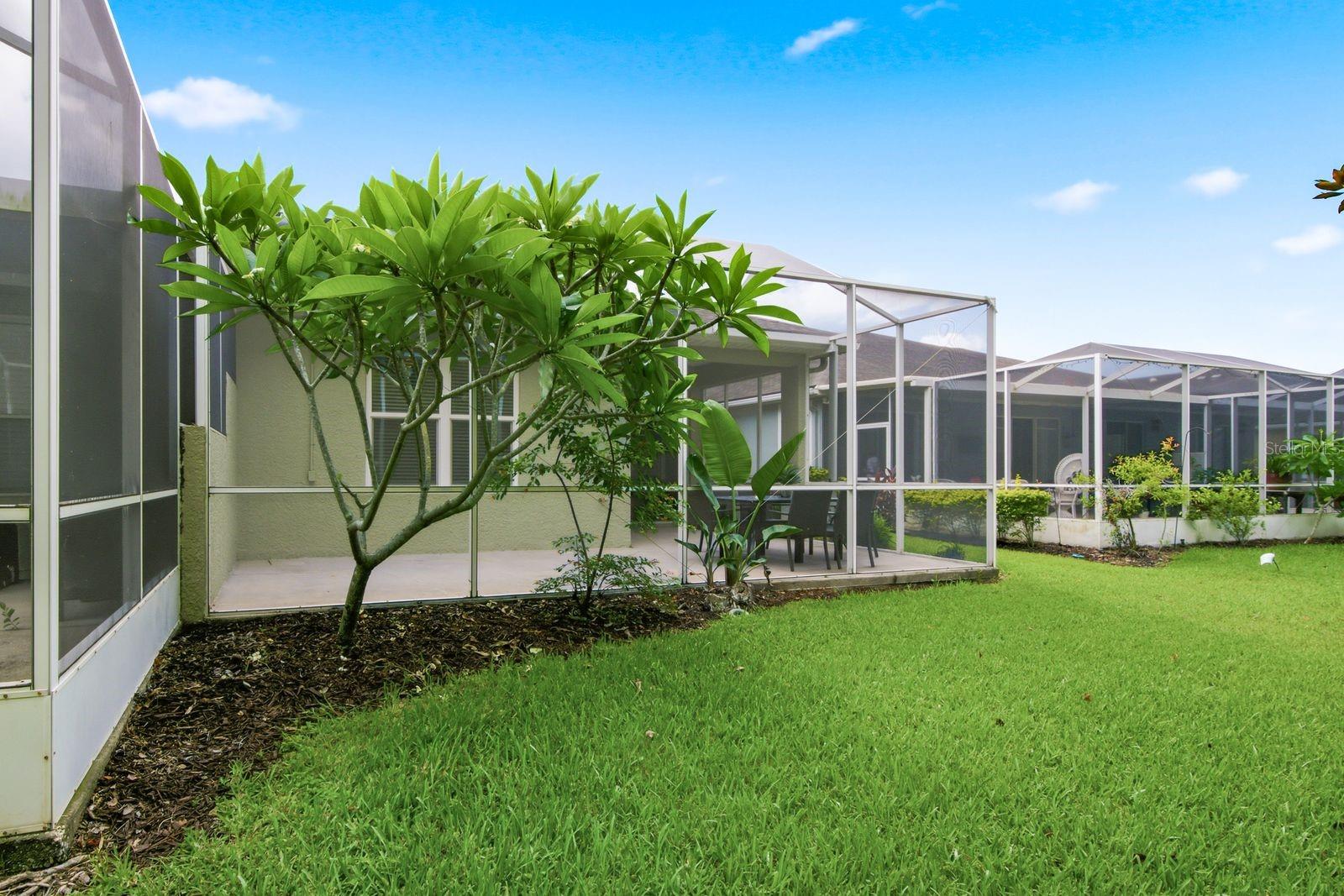 WESTCHASE SECTION 414 - Residential