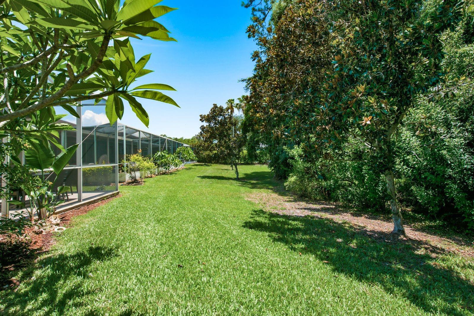 WESTCHASE SECTION 414 - Residential