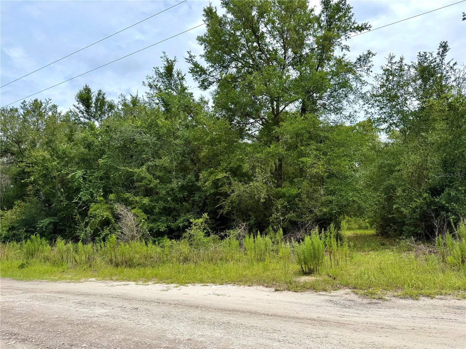 Build your dream home on this 1.25-acre lot in Bronson! This spacious property already has a well and septic system in place, although their condition and usability are unknown and should be verified by the buyer. Enjoy the privacy and room to spread out while still being conveniently located between Bronson and Newberry. Whether you’re looking to build now or invest for the future, this property offers plenty of potential. Buyer to perform all due diligence regarding utilities, zoning, and permitted uses.