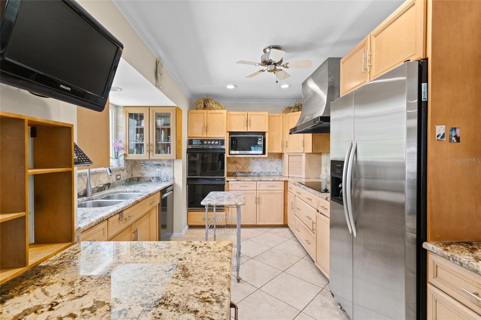 MYAKKA RIVER TRACTS & PLAMORE-666400 - Residential
