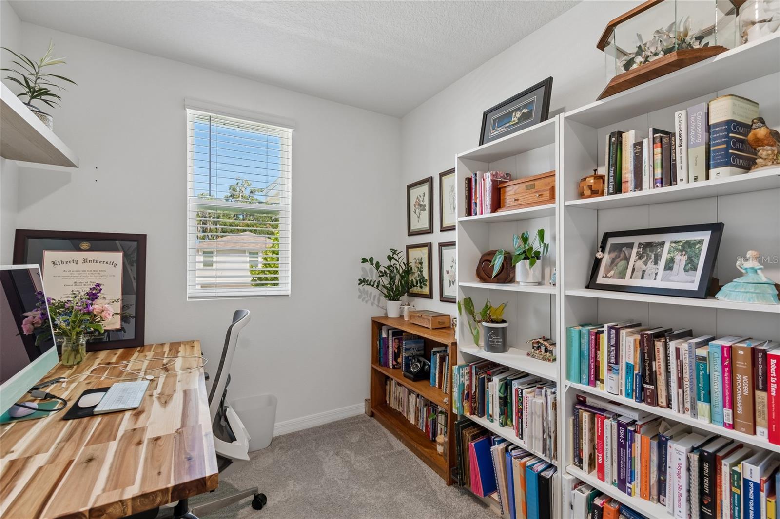 SUWANNEE LAKESIDE PH 2 & 3 - Residential