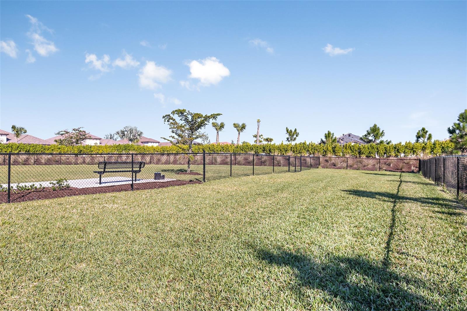 AZARIO ESPLANADE - Residential