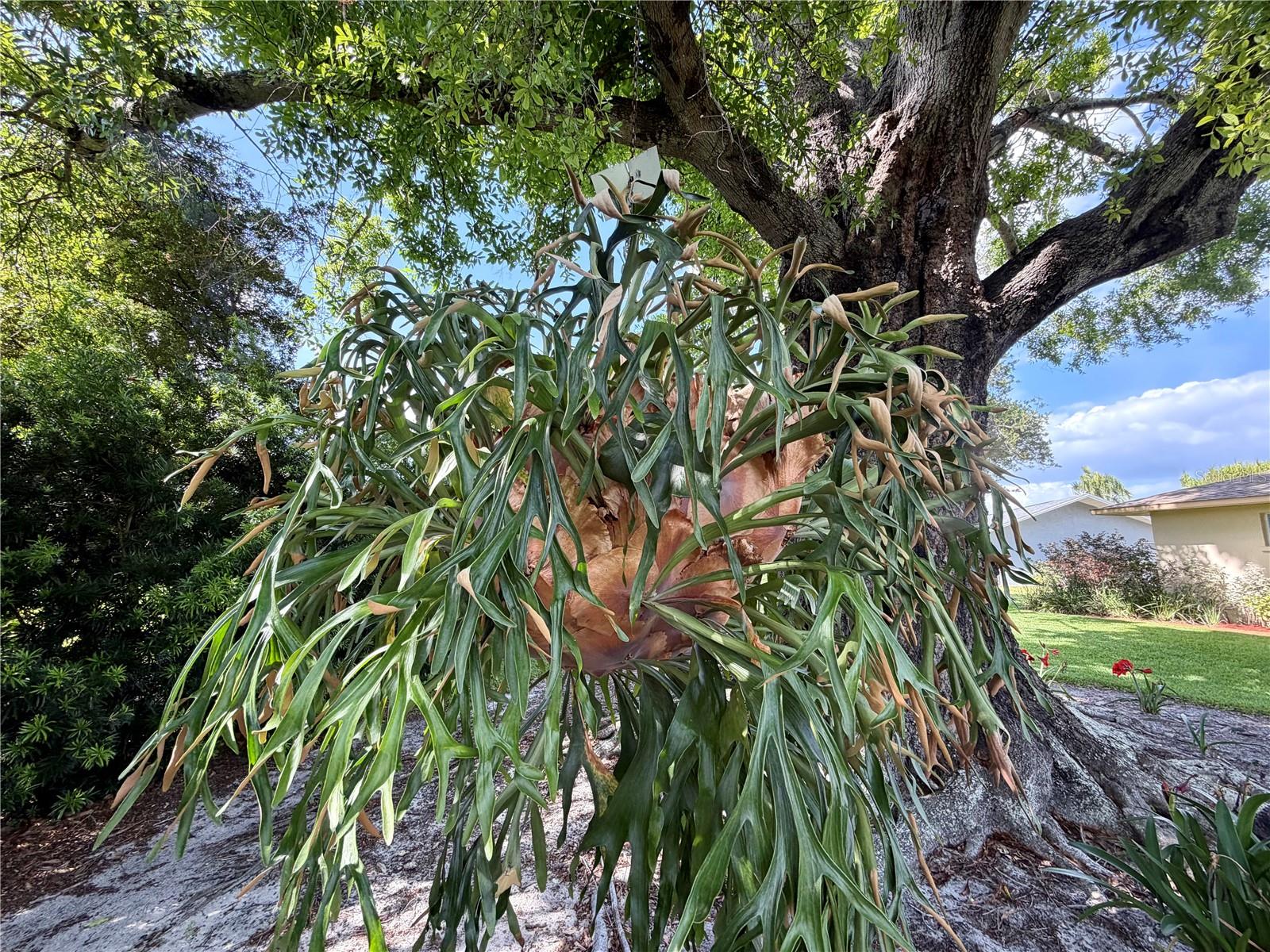 VILLAGE GREEN OF BRADENTON - Residential