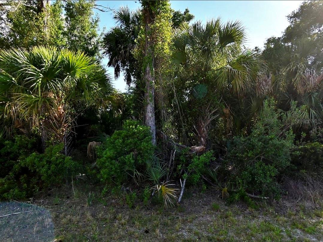 Excellent opportunity to build your dream home on this residential lot located in the rapidly growing City of North Port. Conveniently situated just minutes from I-75, this property offers easy access to shopping, restaurants, schools, medical facilities, golf courses, and the beautiful Gulf Coast beaches. Enjoy the perfect balance of privacy and convenience in a well-established residential area with no time limit to build. Whether you're planning your future home or looking for a smart investment in one of Southwest Florida's fastest-growing communities, this property is an excellent choice.