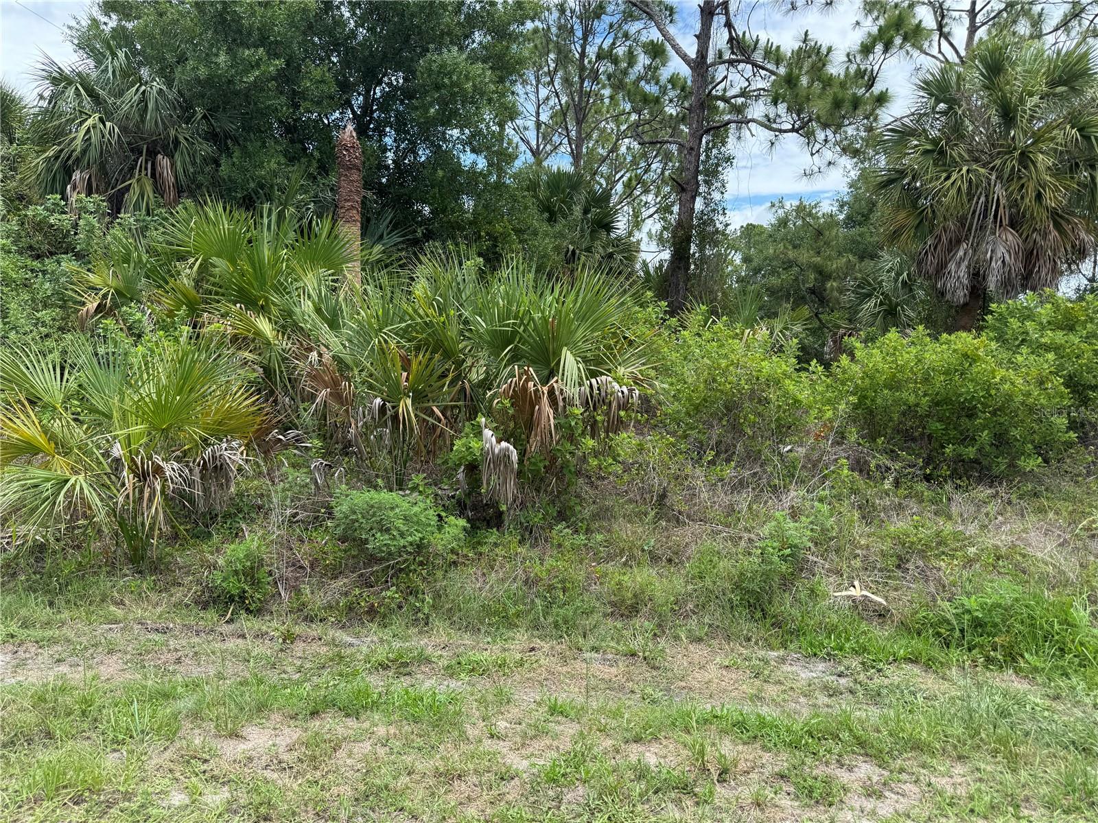 PORT CHARLOTTE SEC 050 - Land