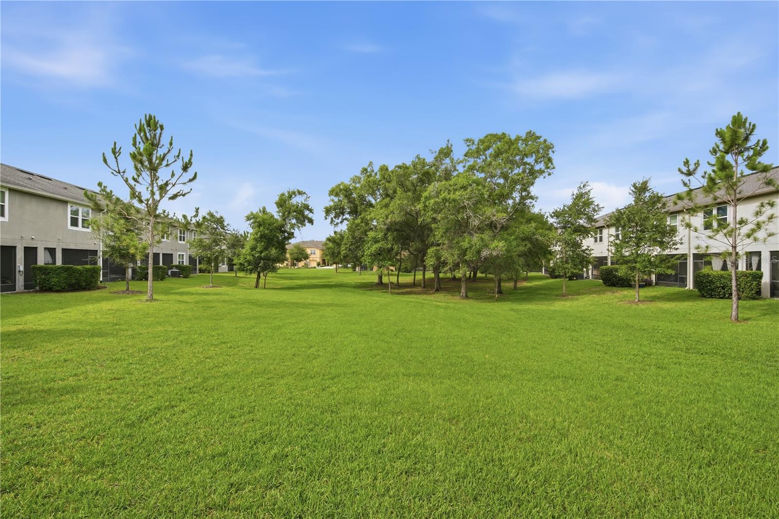 LAKEVIEW/CITRUS PARK - Residential