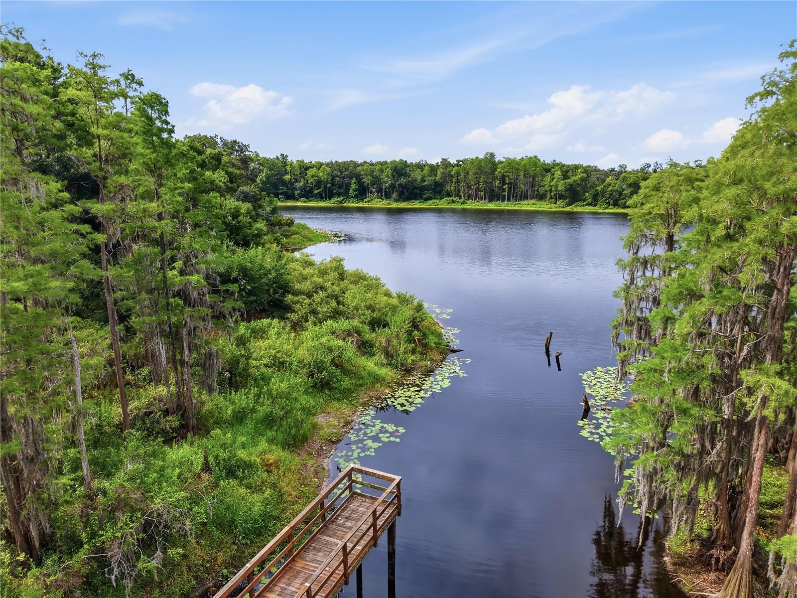 LAKEVIEW/CITRUS PARK - Residential