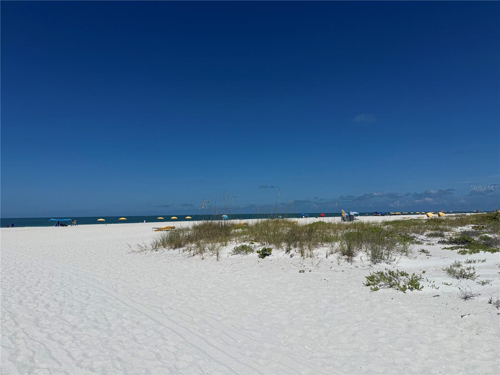 ISLE OF PALMS - Residential