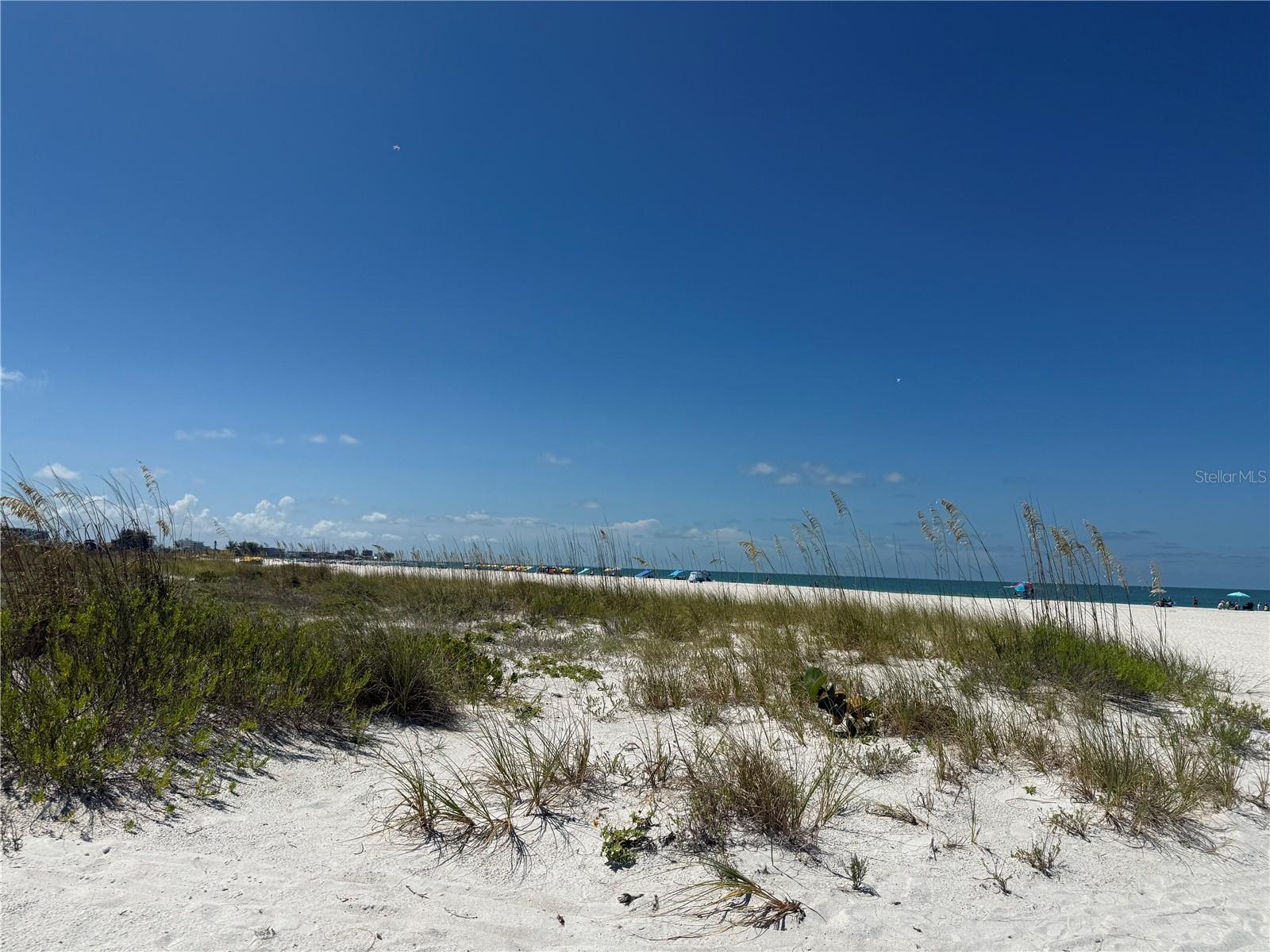 ISLE OF PALMS - Residential