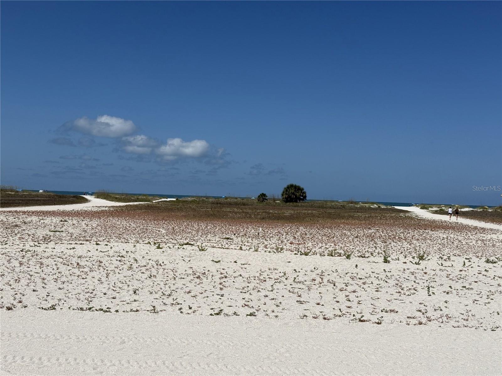 ISLE OF PALMS - Residential