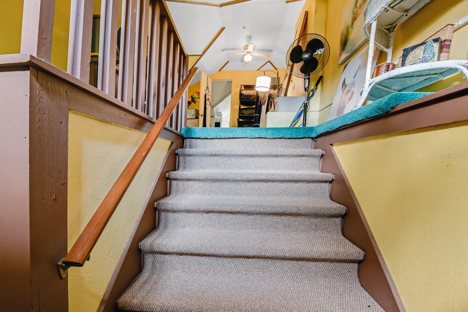 MOUNT DORA TREMAINS - Residential