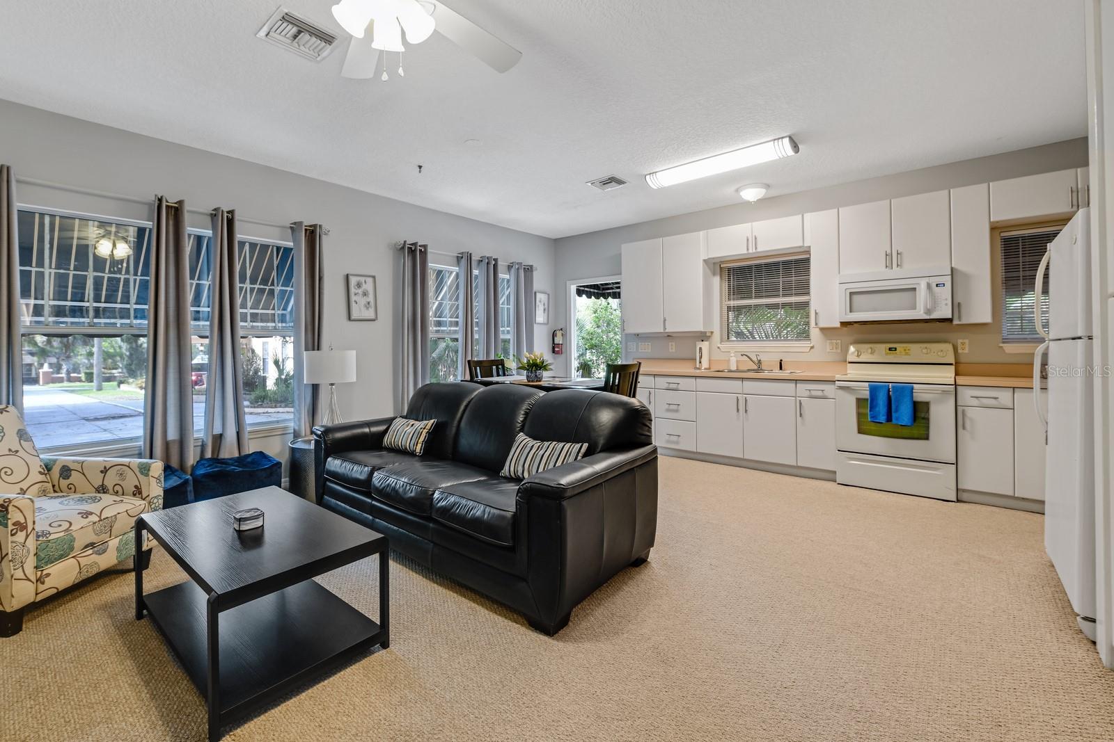 MOUNT DORA TREMAINS - Residential