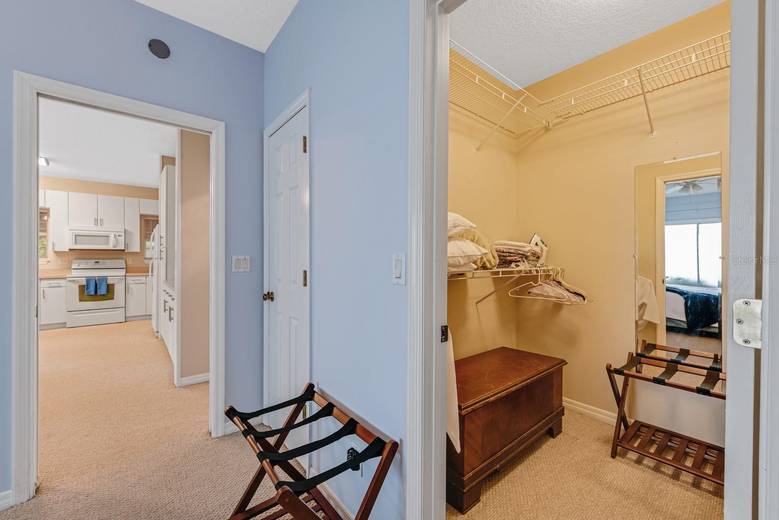MOUNT DORA TREMAINS - Residential