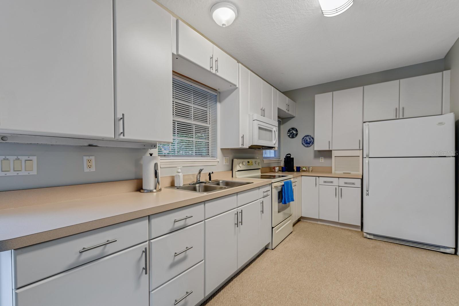 MOUNT DORA TREMAINS - Residential