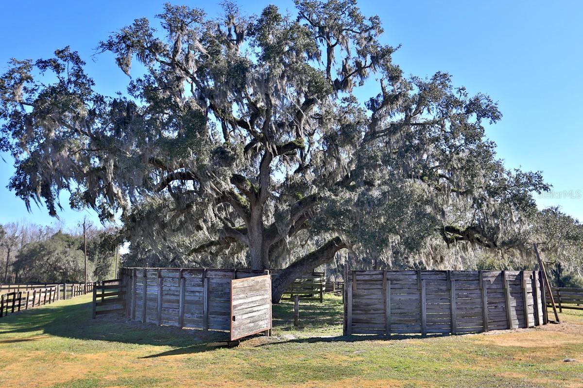 ACREAGE NON SUBDIVISION - Residential