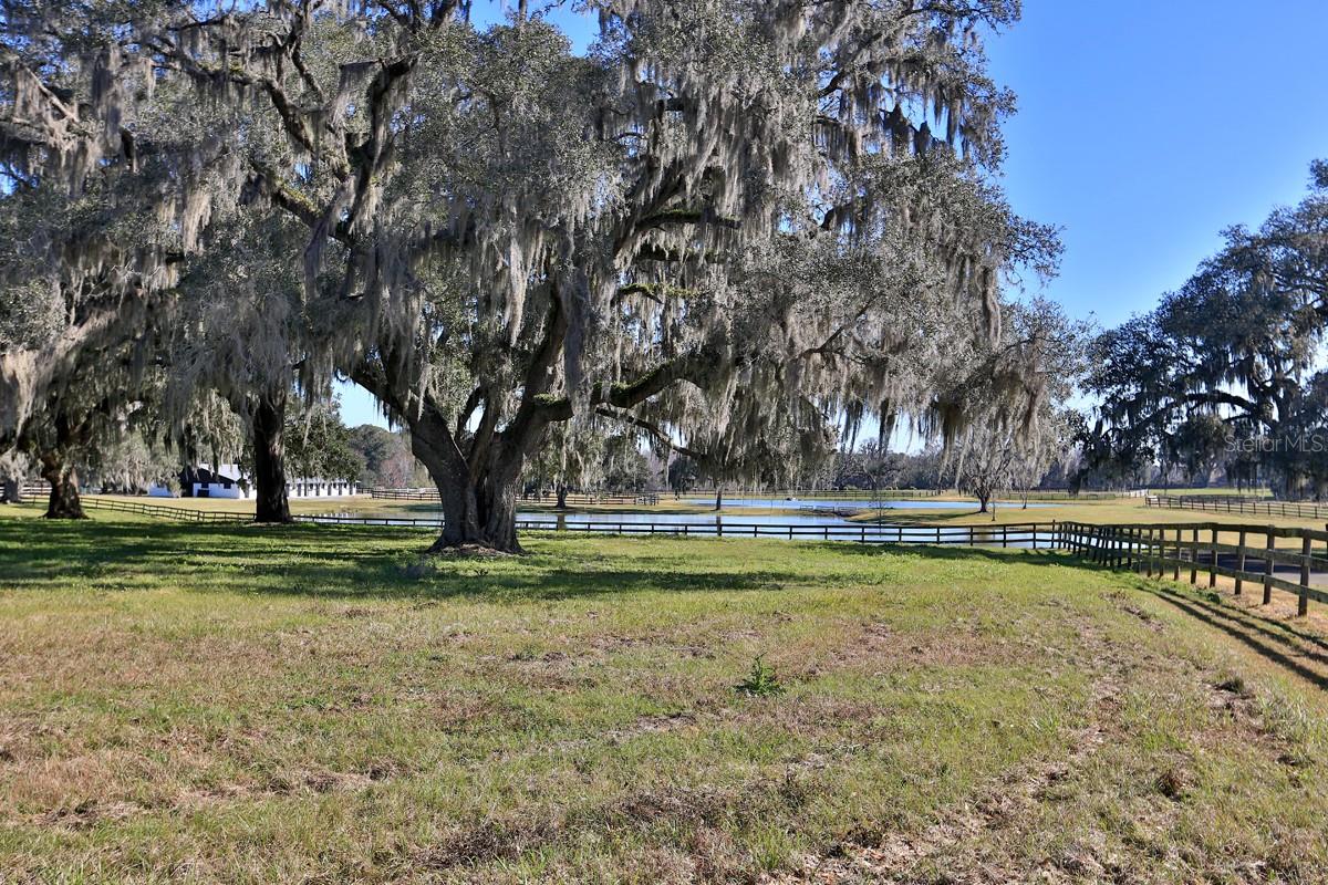 ACREAGE NON SUBDIVISION - Residential