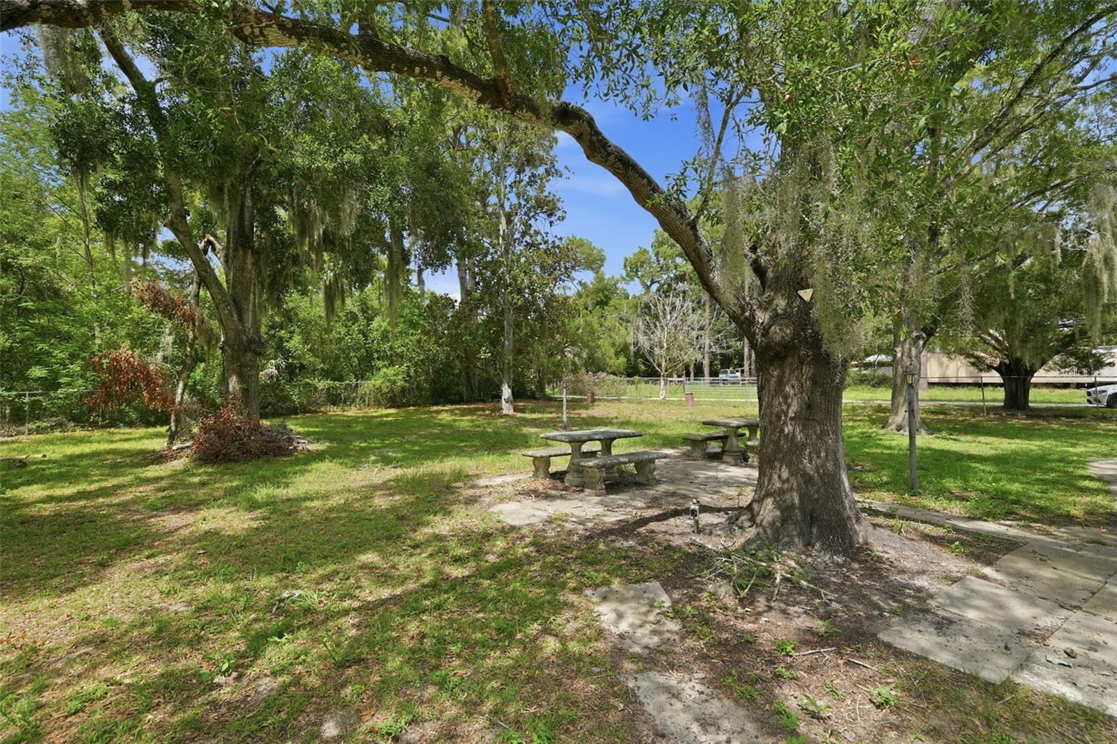 BLUEBERRY HILLS ESTATES - Residential
