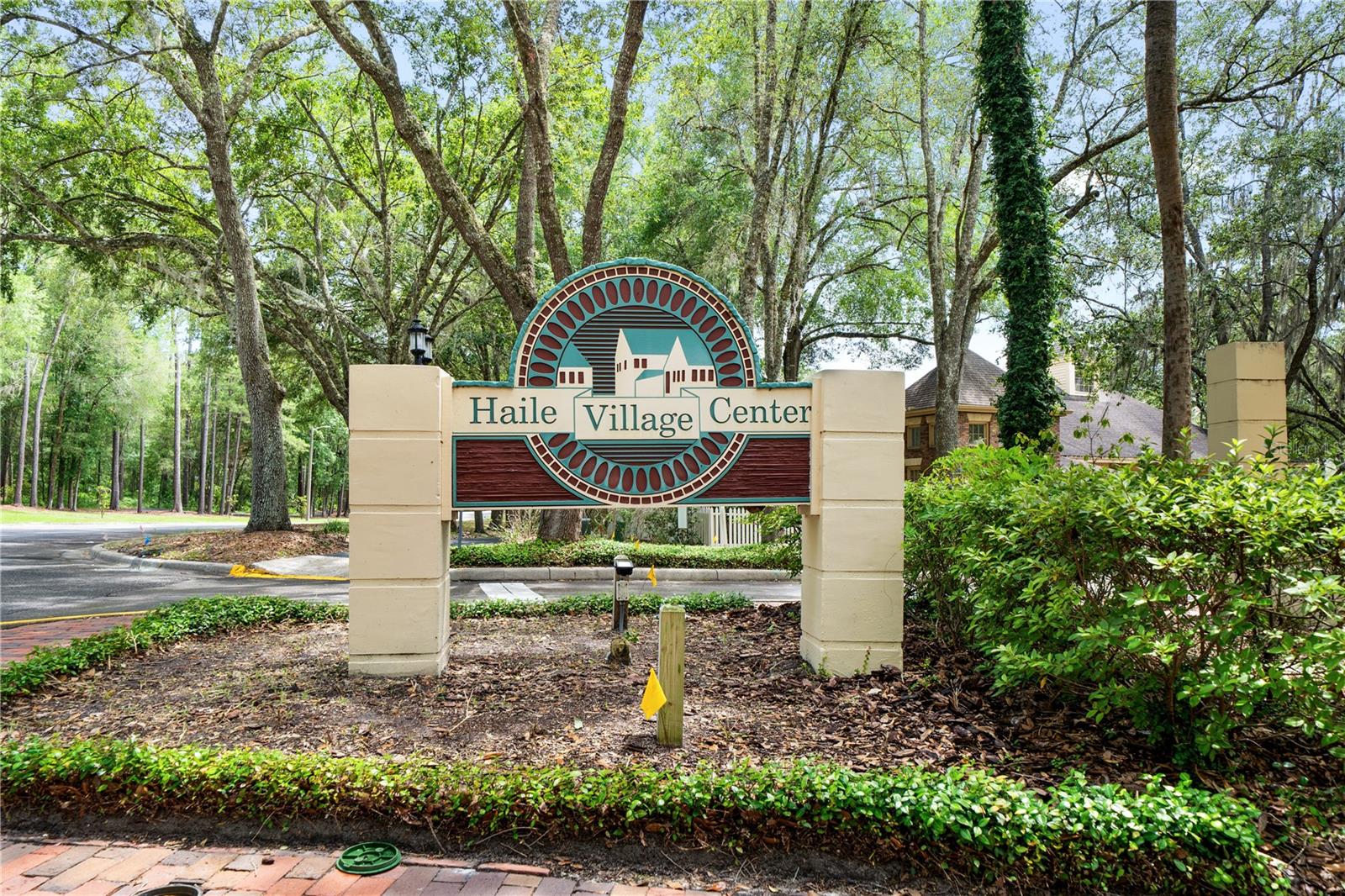 THE VILLAGE AT HAILE - Residential