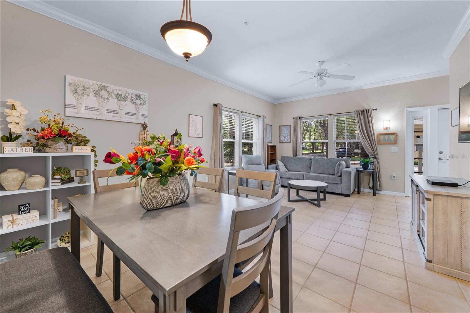 THE VILLAGE AT HAILE - Residential